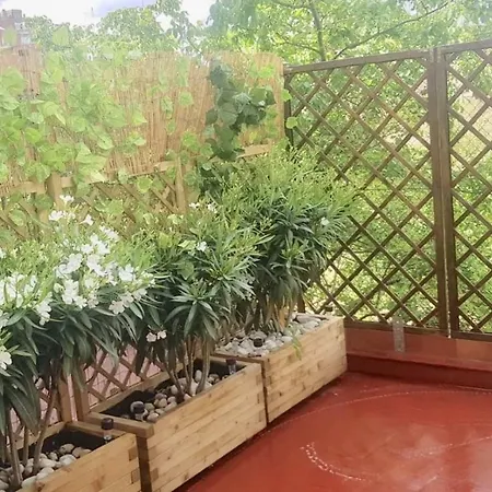 Apartment San Quirce - Centrico Y Reformado- Wifi Y Netflix Valladolid