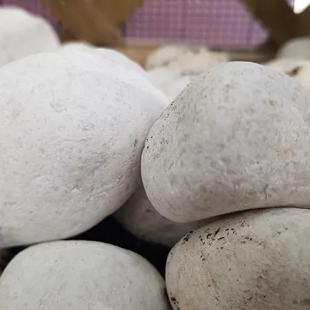 San Quirce - Centrico Y Reformado- Wifi Y Netflix Διαμέρισμα *