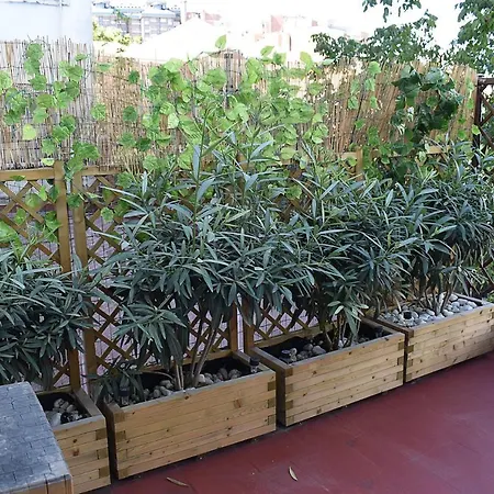 San Quirce - Céntrico Y Reformado- Wifi Y Netflix *