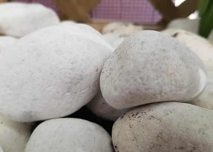 San Quirce - Centrico Y Reformado- Wifi Y Netflix Διαμέρισμα *