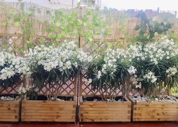 Appartement San Quirce - Céntrico Y Reformado- Wifi Y Netflix